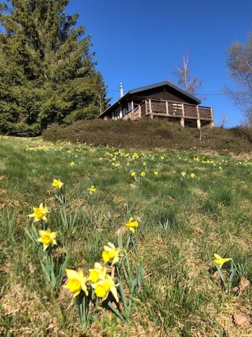 Le Chalet Des Coeurs 르톨리 외부 사진